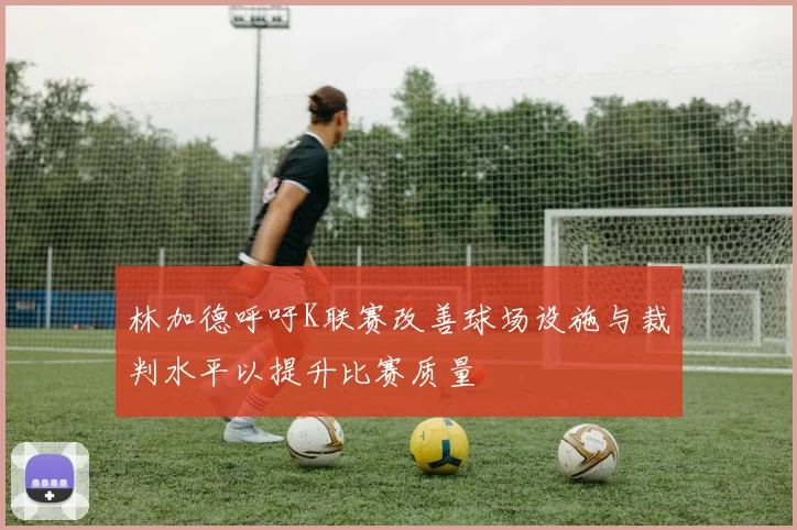 林加德呼吁K联赛改善球场设施与裁判水平以提升比赛质量