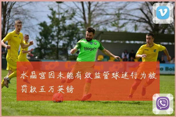 水晶宫因未能有效监管球迷行为被罚款五万英镑