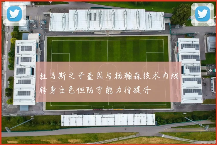 杜马斯之子奎因与杨瀚森技术内线转身出色但防守能力待提升