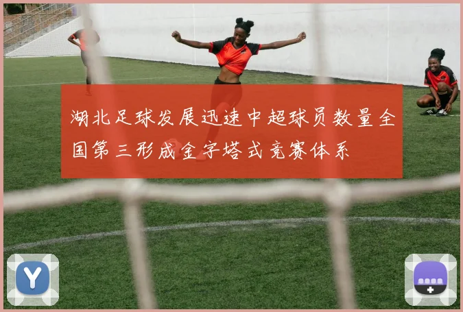 湖北足球发展迅速中超球员数量全国第三形成金字塔式竞赛体系
