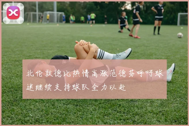 北伦敦德比热情高涨范德芬呼吁球迷继续支持球队全力以赴