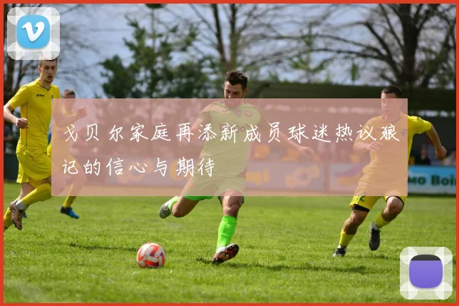 戈贝尔家庭再添新成员球迷热议狼记的信心与期待