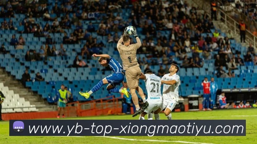 熊猫体育平台生态图