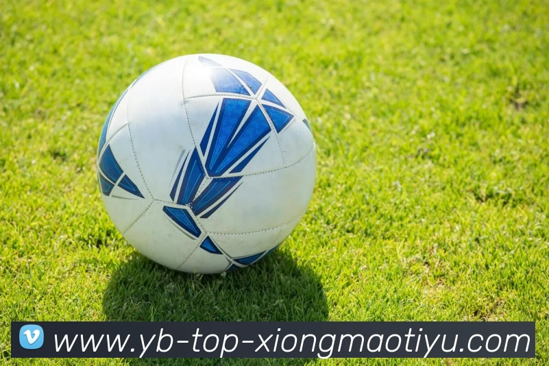 熊猫体育全站App